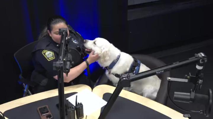 Thumbnail image for What's Up Watertown - Officer Anna Margaryan, Raider, and Architect Teddy Straus