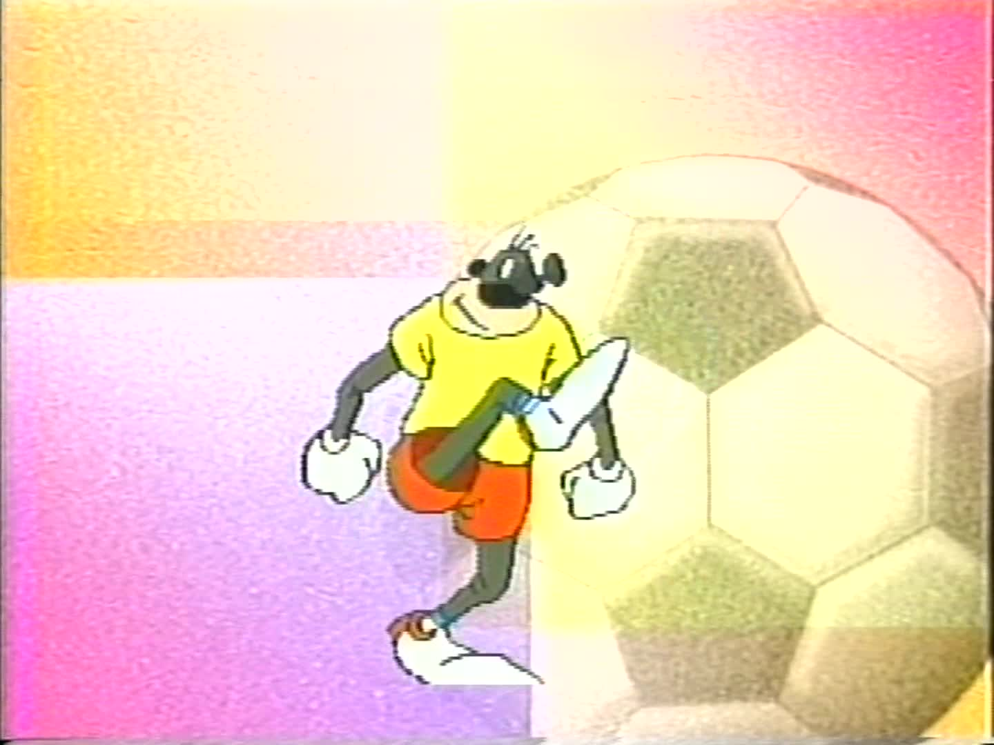 WHS Alumni Hockey Legends - 1996